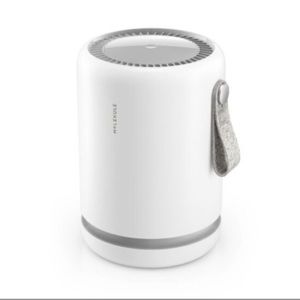 Molekule air mini